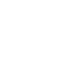 Memory (RAM)