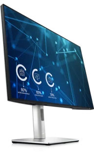 Dell U2421E 24.1" WUXGA IPS Monitor - 8ms, HDMI/DP/USB-C (15W PD)/LAN, Height Adjustable, Pivot