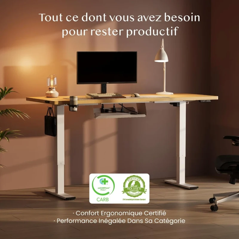 FLEXISPOT Electric Height Adjustable Standing Desk 4M-4X41-C5AJ - 160x60cm Maple Desktop, Electric Sit-Stand Adjustment, Memory Height Presets, Headphone Hook, Home Office Computer Desk - Gallery Image