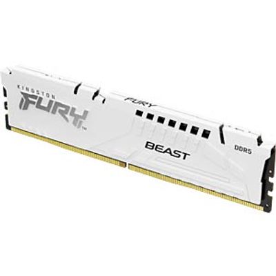 16GB DDR5 CL34 FURY Beast White EXPO